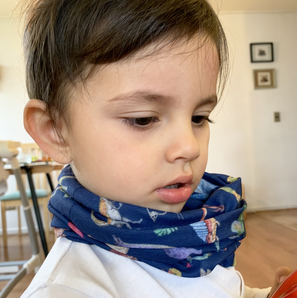 Bandana dinosaurios